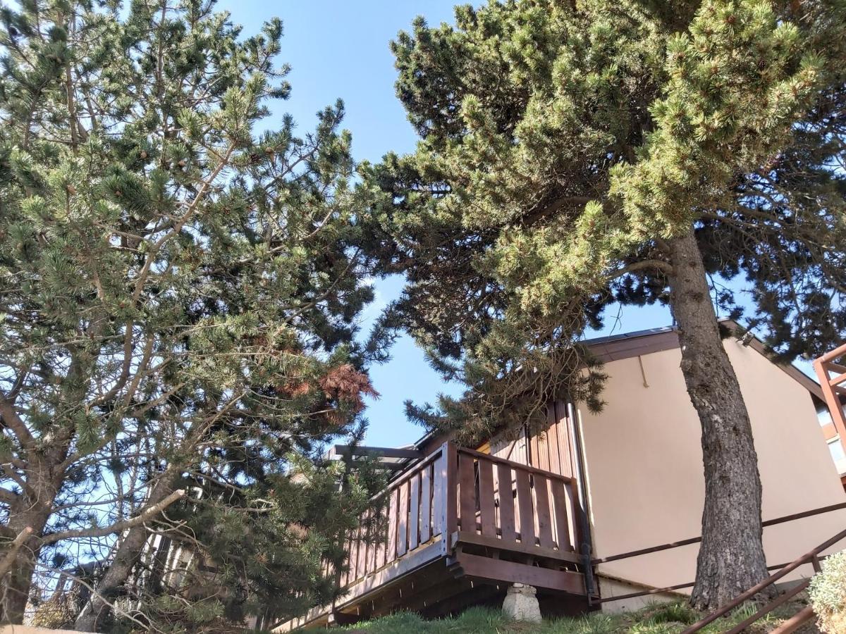 Chalet De L Ours Bolquere ภายนอก รูปภาพ